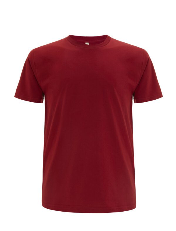 EarthPositive Men's/ Unisex classic jersey T-shirt  Dark Red XXL