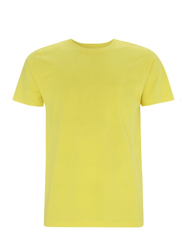 EarthPositive Men's/ Unisex classic jersey T-shirt  Yellow XXL