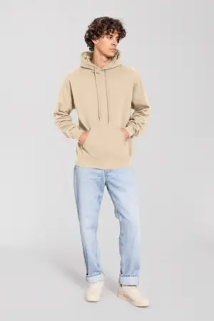 Fruit of the loom ICONIC 250 Hooded Sweat